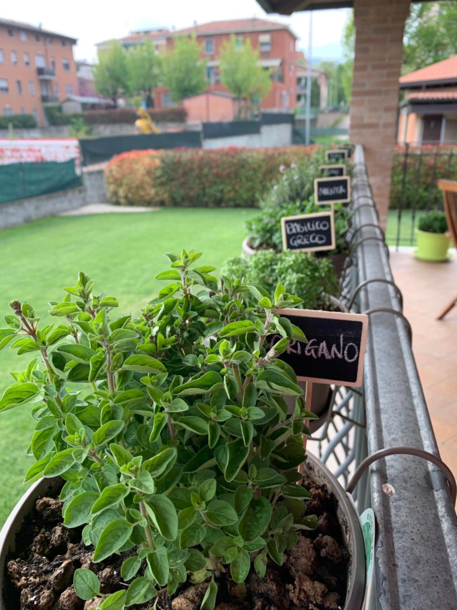 Appartamento Con Giardino Pontecchio Marconi Exterior photo